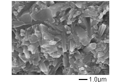 SEM Image of a section of sintered SN-E10