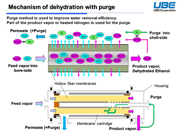 Mechanism of dehydration with purge